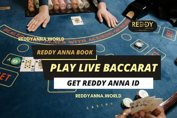 reddy anna baccarat